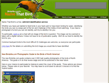 Tablet Screenshot of namethatbird.com
